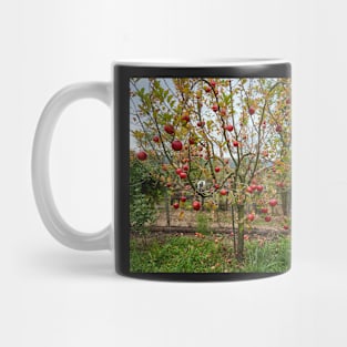 Apple tree in the orchard Mug